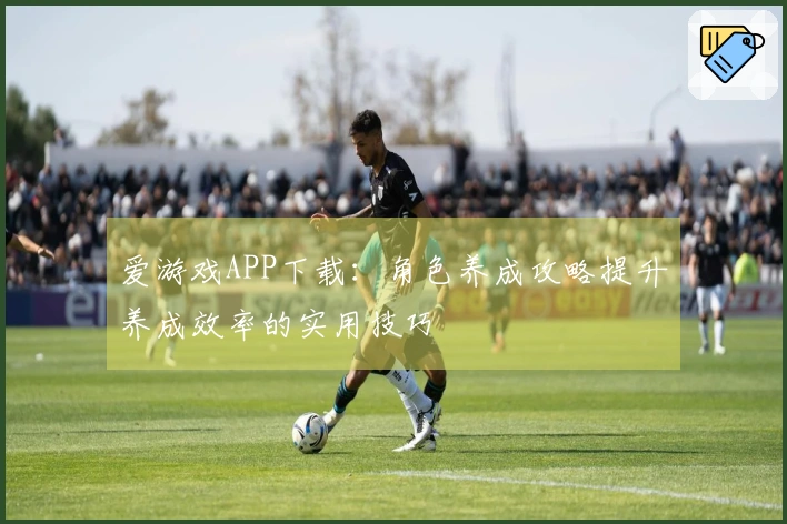 爱游戏APP下载：角色养成攻略提升养成效率的实用技巧