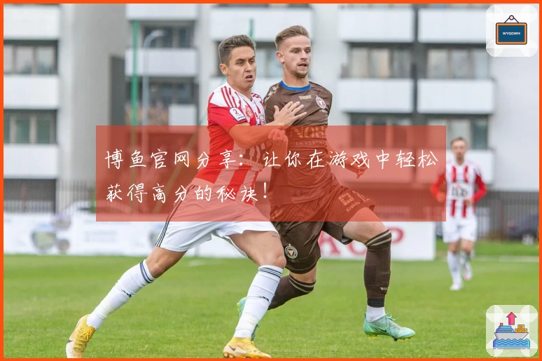 博鱼官网分享:让你在游戏中轻松获得高分的秘诀!