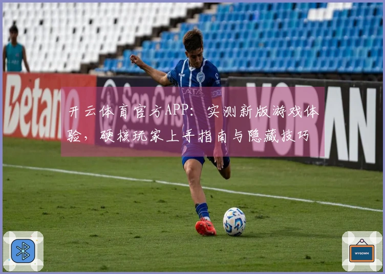 开云体育官方APP：实测新版游戏体验，硬核玩家上手指南与隐藏技巧揭秘